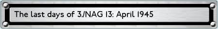 NAG13lasttag